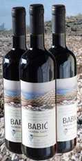 Vrhunsko suho crno vino primoštenskog vinogorja - Obitelj Stipe Gašperov